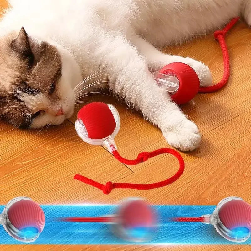 SmartBall® Bola Interactiva Recargable Gatos/Perros